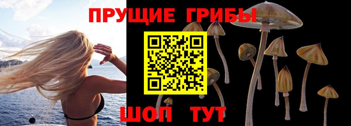 Псилоцибиновые грибы Magic Shrooms Невинномысск